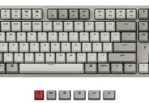 Keychron C1 USB Wired Keyboard Hot-Swappable Gateron Retro Colour TKL Mechanical Keyboard (Red Switch)