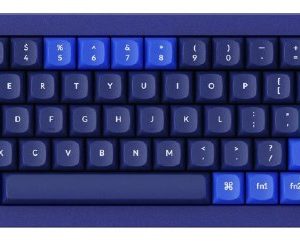 Keychron Q2 QMK 65% Custom Hot-Swappable Gateron Phantom Switch Mechanical Full Assembled Keyboard (Blue) (Brown Switch) (Q2-O3)