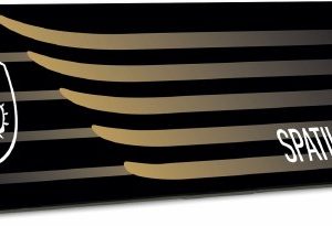 MSI SPATIUM M480 PCIe 4.0 NVMe M.2 1TB PRO